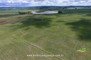 Criado em galpão-Os Serranos [VDownloader].00_04_46_20.Quadro057_beb15268a6bf198b55c68f16f8c7917b208007e0.jpg